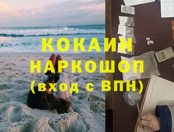 шишки Бородино