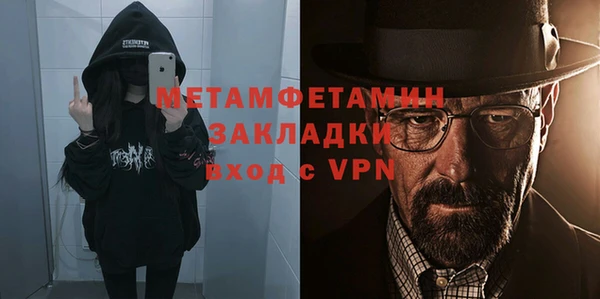 шишки Бородино