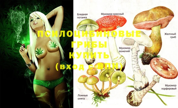 ГАЛЛЮЦИНОГЕННЫЕ ГРИБЫ Богданович