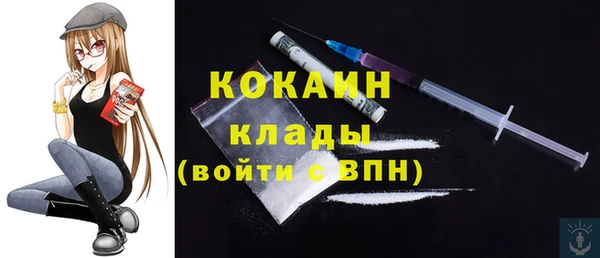 ГАЛЛЮЦИНОГЕННЫЕ ГРИБЫ Богданович