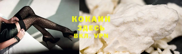 mdpv Богородск