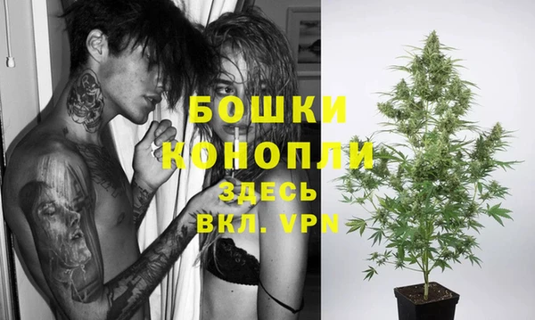 шишки Бородино