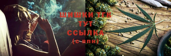 ГАЛЛЮЦИНОГЕННЫЕ ГРИБЫ Богданович