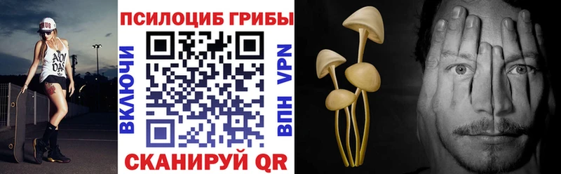 закладка Карабулак Галлюциногенные грибы GOLDEN TEACHER